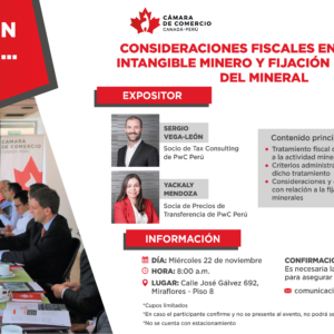CONSIDERACIONES FISCALES EN TORNO AL INTANGIBLE MINERO Y FIJACIÓN DEL PRECIO DEL MINERAL