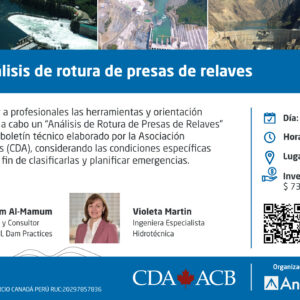 Taller de análisis de rotura de presas de relaves