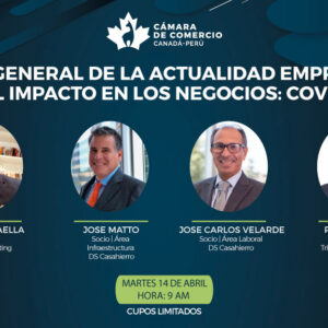 VISIÓN GENERAL DE LA ACTUALIDAD EMPRESARIAL Y EL IMPACTO EN LOS NEGOCIOS: COVID-19