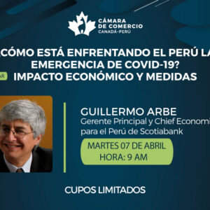 ¿CÓMO ESTÁ ENFRENTANDO EL PERÚ LA EMERGENCIA DE COVID-19? IMPACTO ECONÓMICO Y MEDIDAS