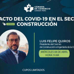 IMPACTO DEL COVID-19 EN EL SECTOR CONSTRUCCIÓN
