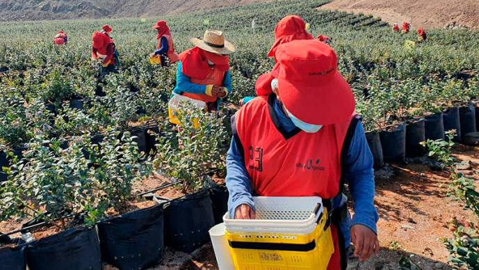 3ra img_Productos potenciales de exportación a Canadá