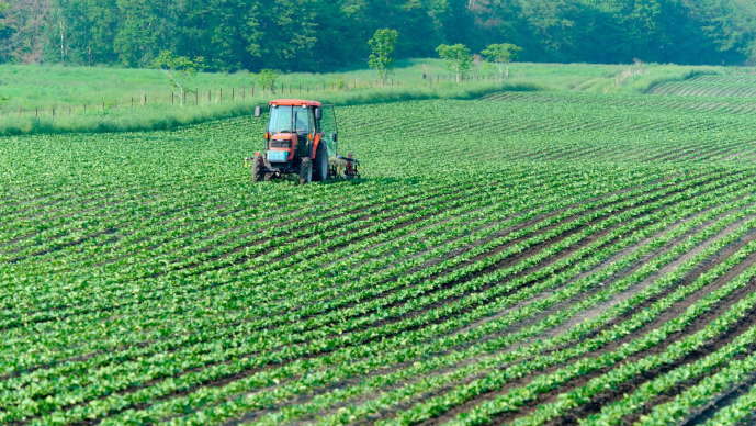 7ma img_Productos potenciales de exportación a Canadá